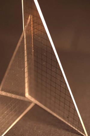 ガチャガチャの森：多彩なコレクションと楽しい体験を提供するお店