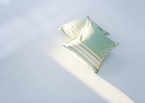 最近人気が高まっている贈り物です