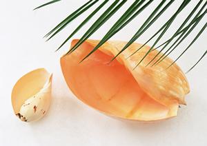 名刺印刷のプロが選ぶ！デザインから納期まで徹底比較した最高の名刺印刷サービスとは？