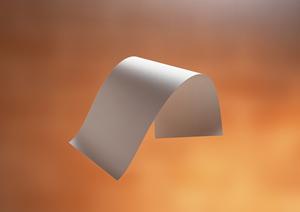 ガチャガチャの森：多彩なコレクションと遊び心あふれる店舗紹介